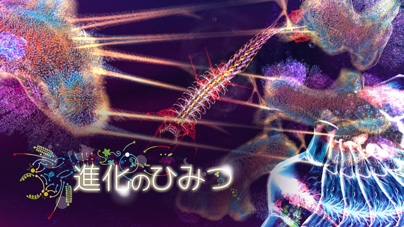 进化的秘密 三部曲合集 日版