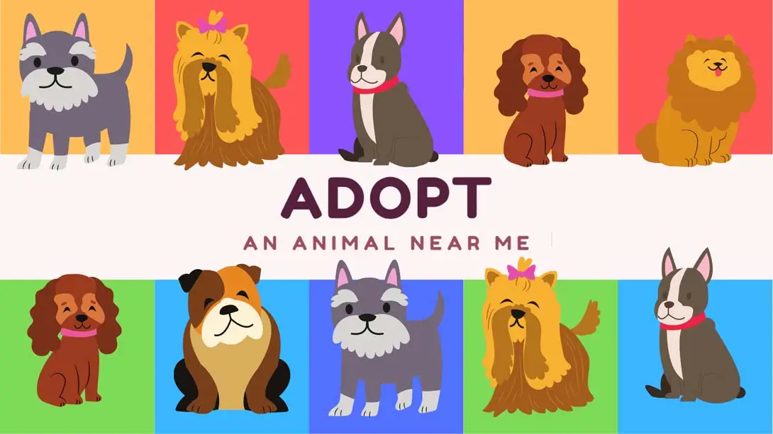《在我附近收养一只动物 Adopt an animal near me》Switch版+1.0.0补丁